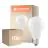 Lot 10x Ledvance Classic LED E27 Poire Filament Dépolie 17W 2452lm - 840 Blanc Froid | Équivalent 150W