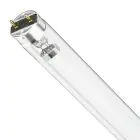 Philips T8 UV - C 17W - Ultra-violet | 60cm