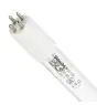 Philips T5 UV - C HE 75W - Ultraviolet | 155cm - 4 - Pin - UNP