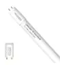 Noxion LED Buis T8 Avant (EM/Mains) Standard Output 15W 1800lm - 830 Warm Wit | 120cm - Vervangt 36W